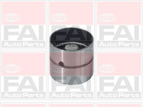 FAI AUTOPARTS Bīdītājs BFS84